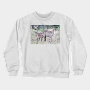 Waterbuck family Crewneck Sweatshirt